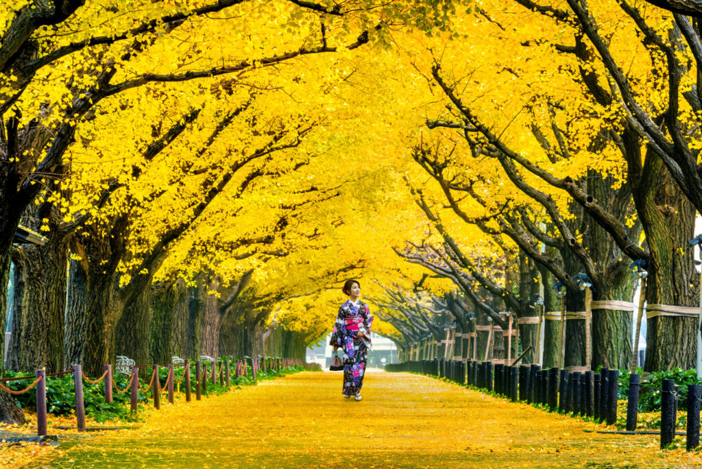 Tokyo, Japan